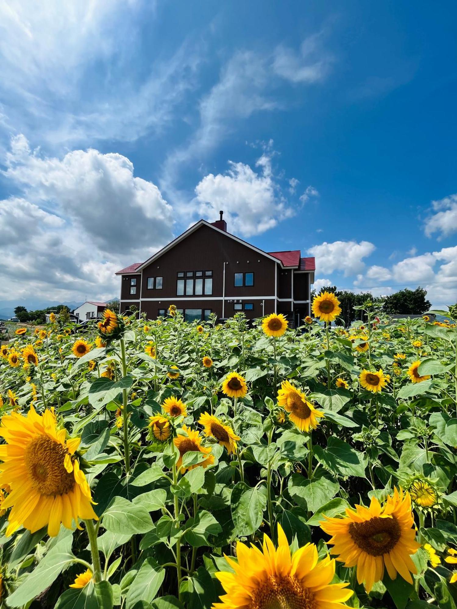 Shooting Star The Bed & Breakfast Фурано Экстерьер фото